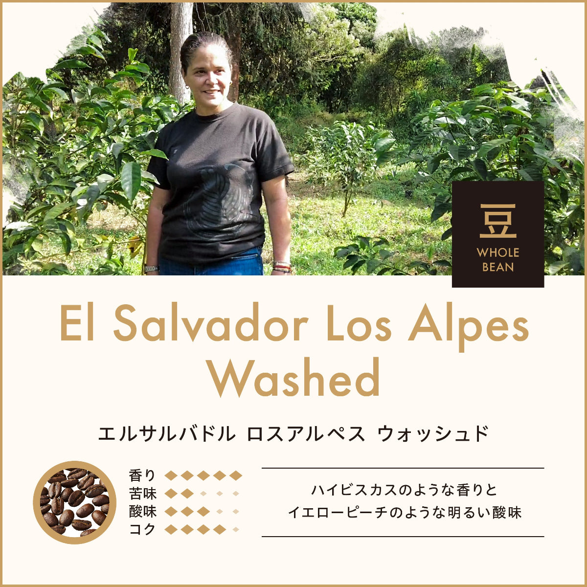 エルサルバドル ロスアルペス（豆）