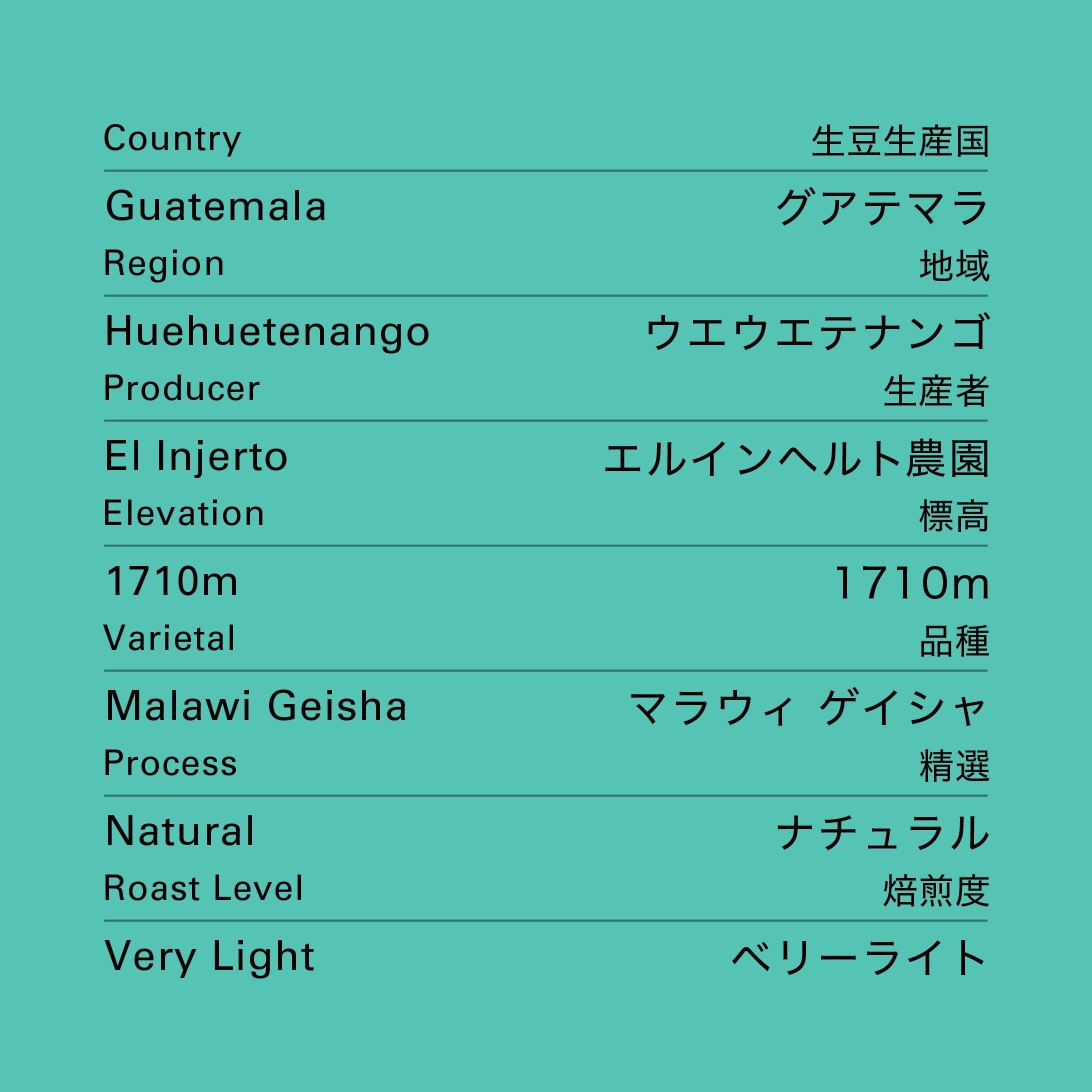 no.40 グアテマラ エルインヘルト ゲイシャ ナチュラル 100g – ogawa