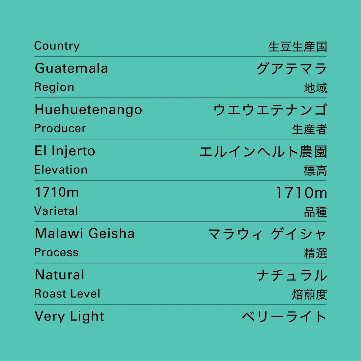 グアテマラ エルインヘルト ゲイシャ ナチュラル