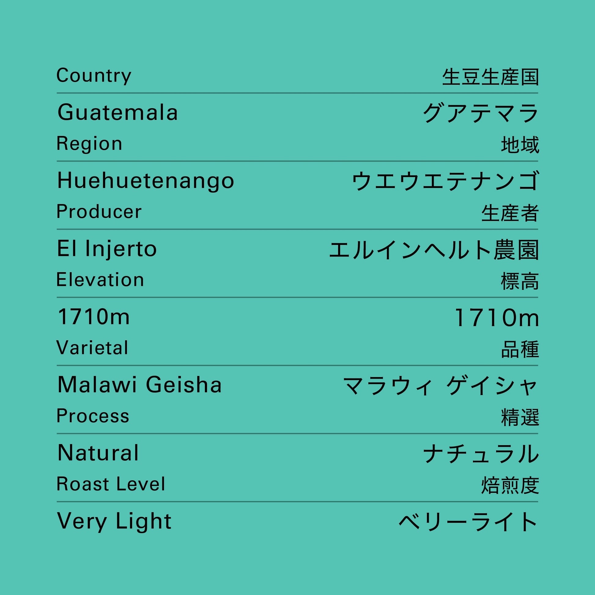 グアテマラ エルインヘルト ゲイシャ ナチュラル