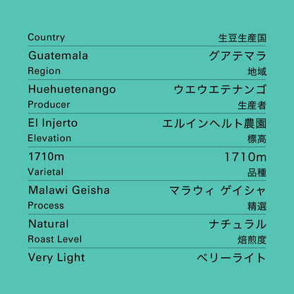 グアテマラ エルインヘルト ゲイシャ ナチュラル