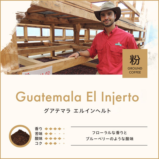 グアテマラ エルインヘルト （粉）150g