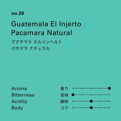 グアテマラ エルインヘルト パカマラ ナチュラル