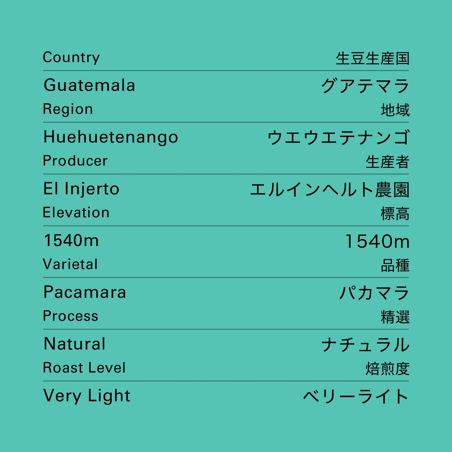 グアテマラ エルインヘルト パカマラ ナチュラル