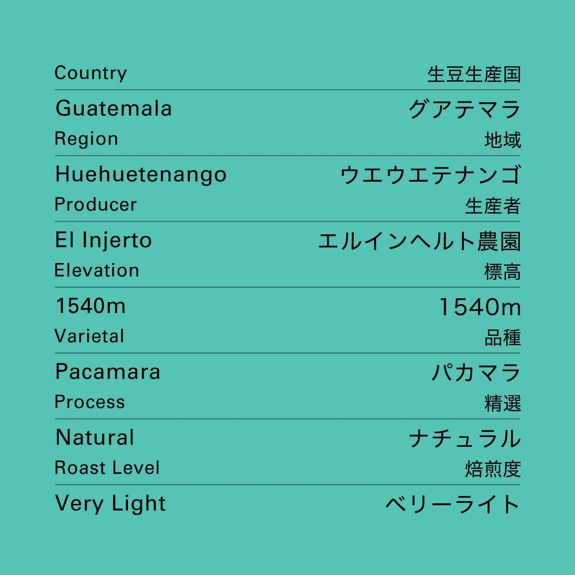 グアテマラ エルインヘルト パカマラ ナチュラル