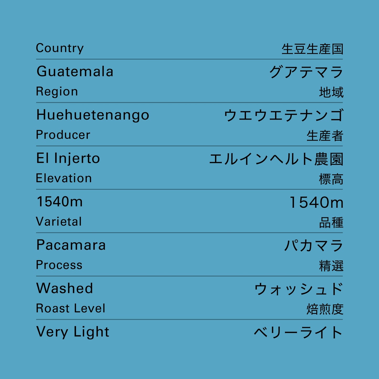 グアテマラ エルインヘルト パカマラ ウォッシュド