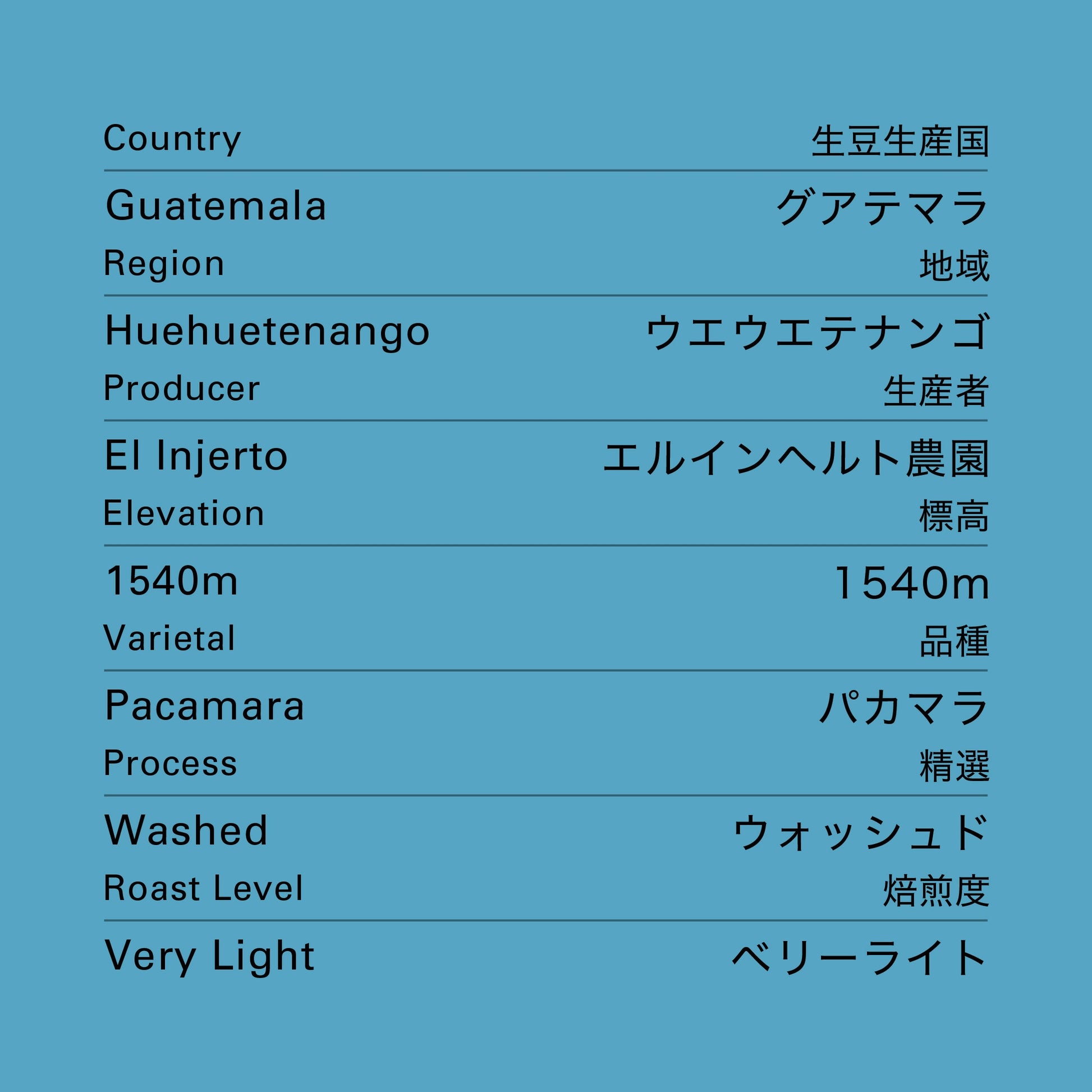 グアテマラ エルインヘルト パカマラ ウォッシュド