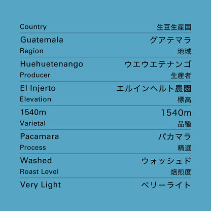 グアテマラ エルインヘルト パカマラ ウォッシュド
