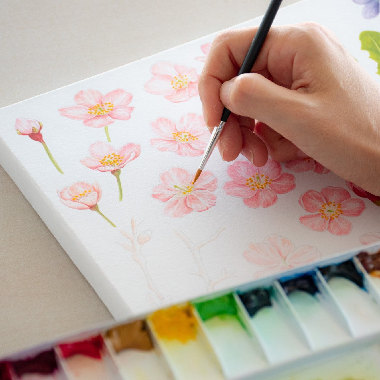 期間限定 春珈琲 コーヒー