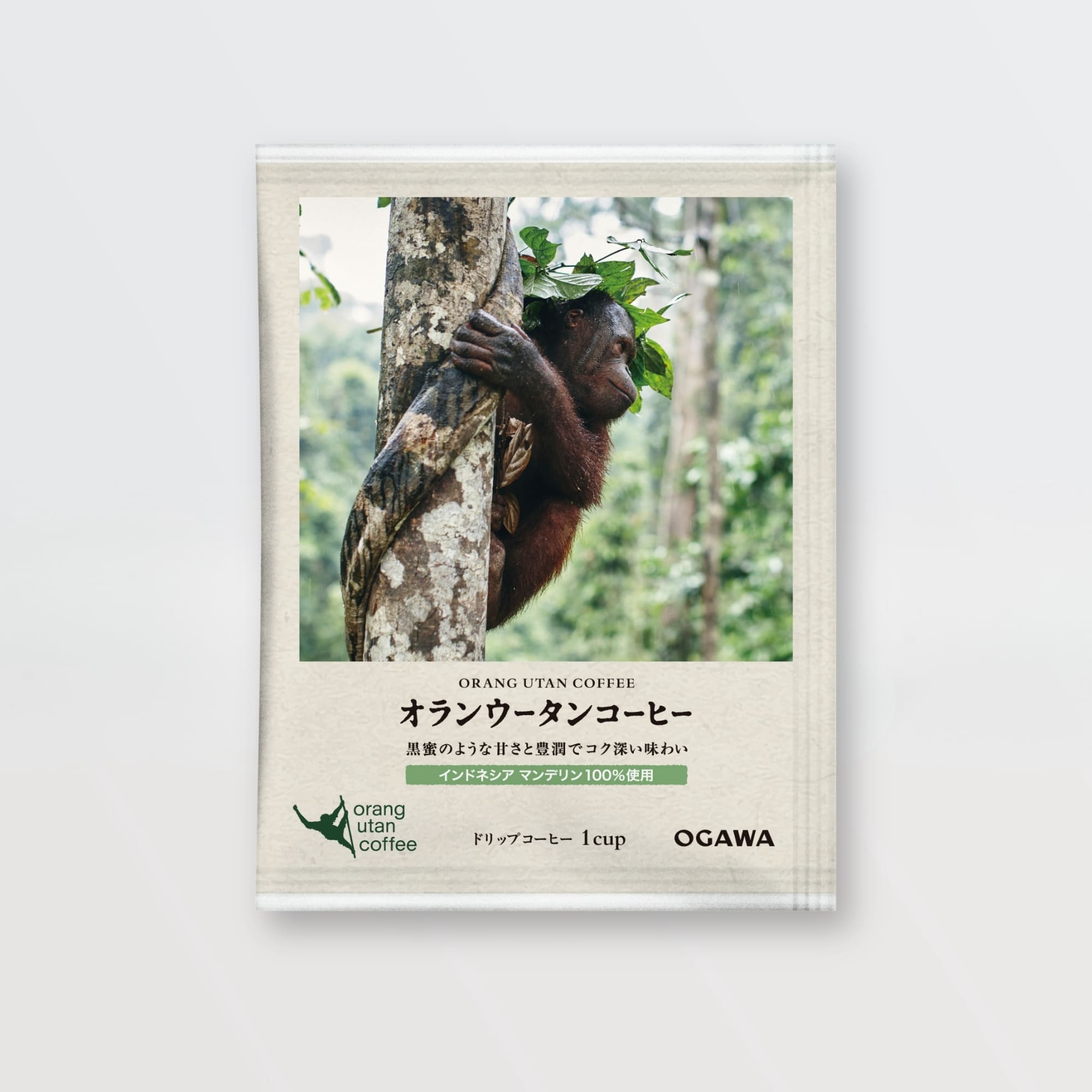コーヒーのプロフェッショナルたちとつくる「森の人」とヒトのコーヒー。オランウータンコーヒープロジェクト