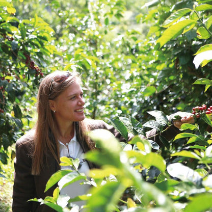 パナマ エスメラルダ ウォッシュド ゲイシャ