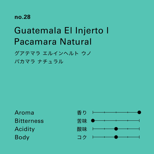 【生豆】グアテマラ エルインヘルト ウノ パカマラ ナチュラル 1kg